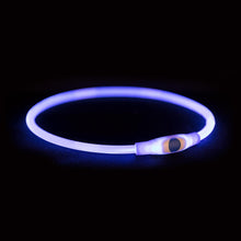 Trixie Lichtgevende Halsband Usb Flash Light Oplaadbaar Tpu Blauw