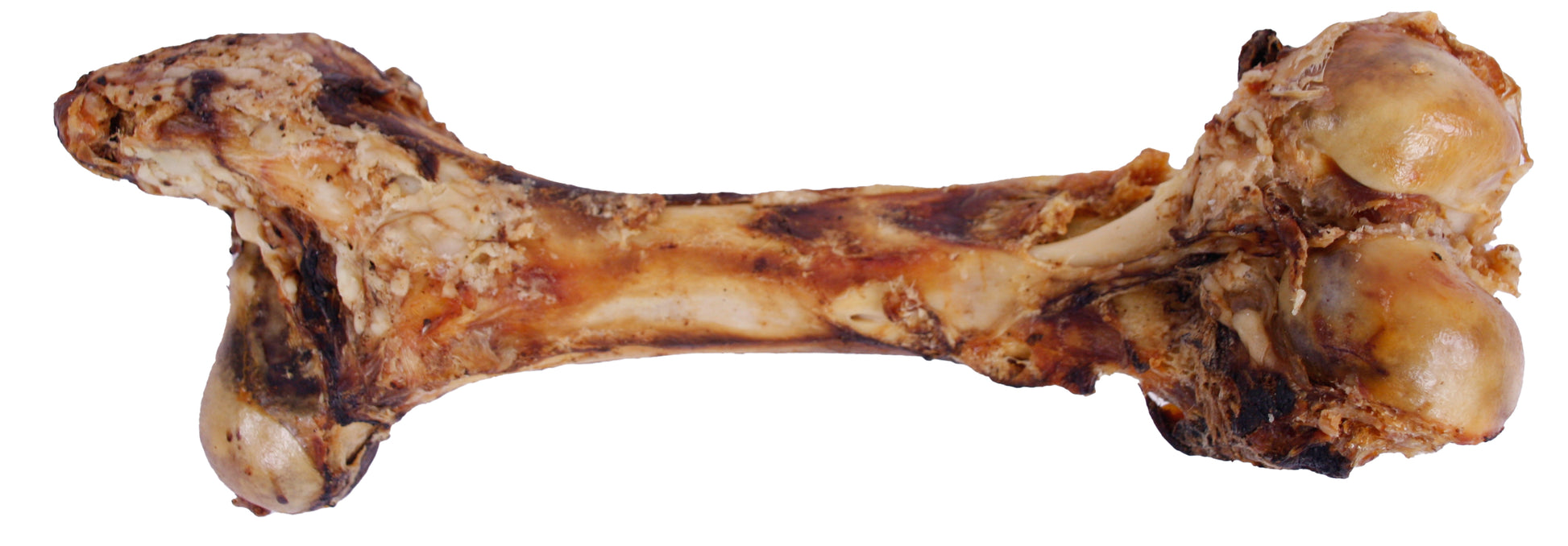 Petsnack Dinobot Xxl