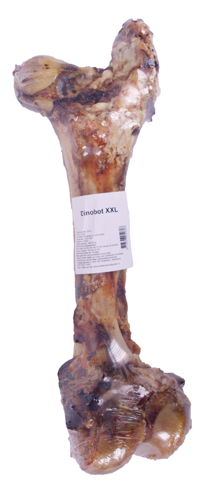 Petsnack Dinobot Xxl