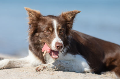 Trixie Ice Pop Groen