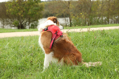 Zolux Easyride Hondentuig Rood